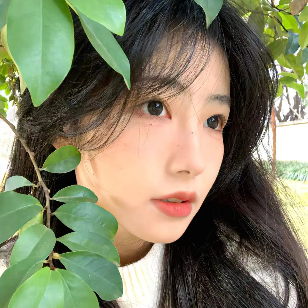 领航人